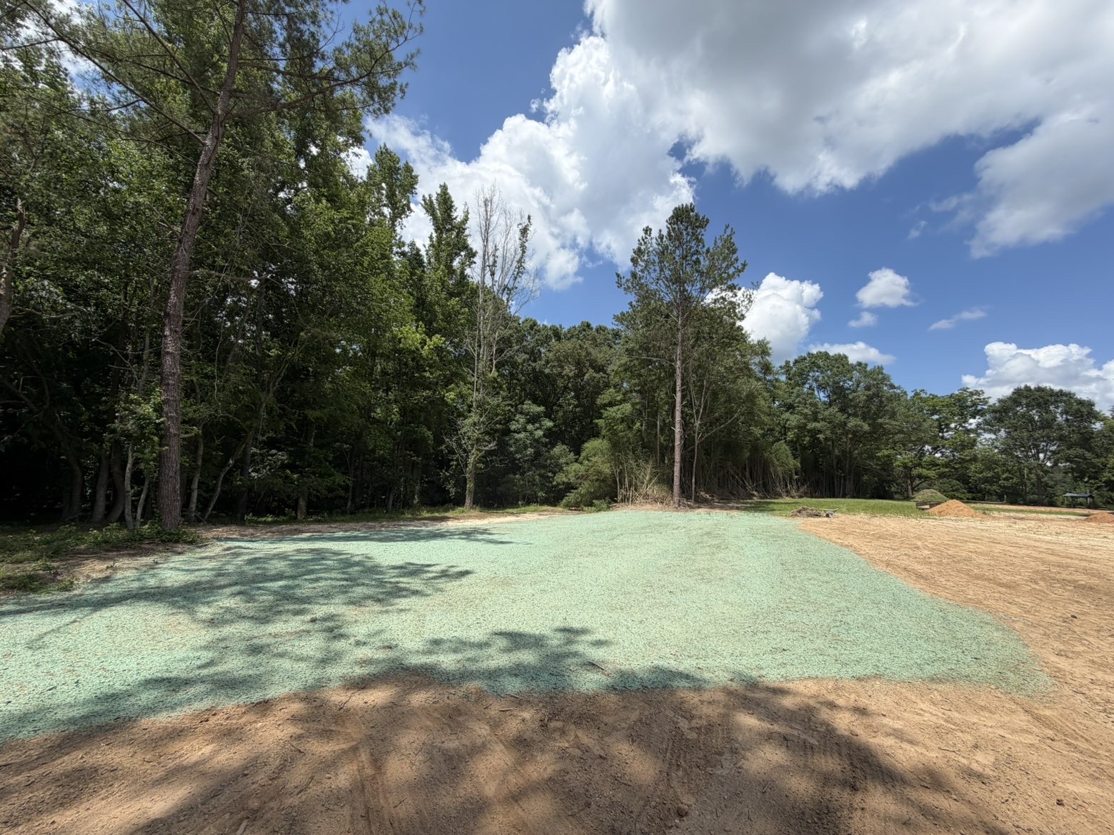Fresh hydroseed slurry on a cleared lot beside the treeline