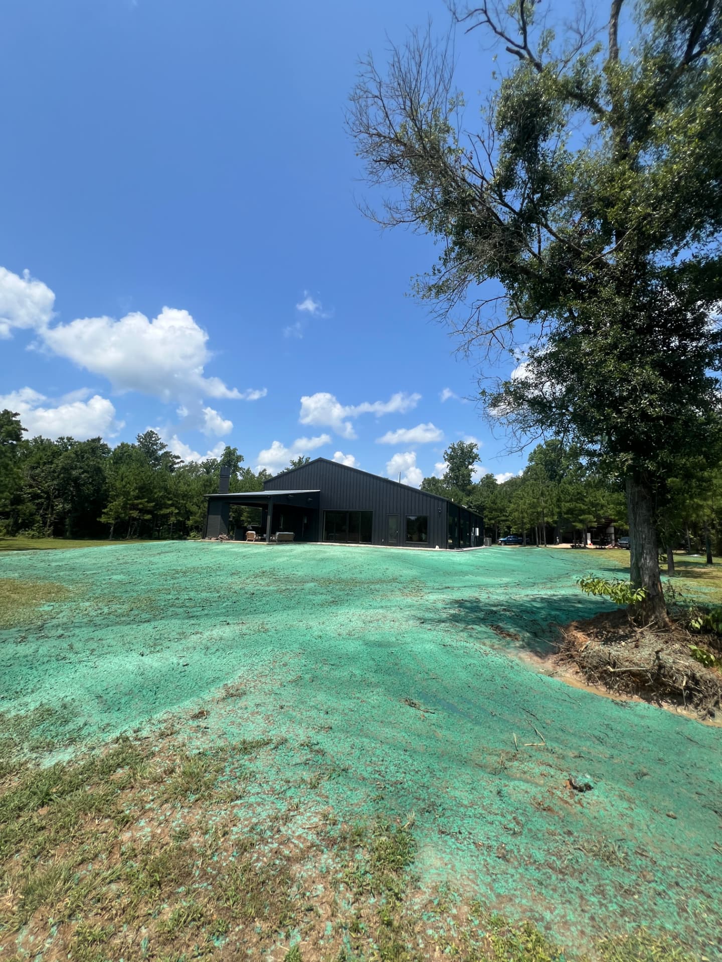 Fresh green hydroseed slurry covering a graded lawn in front of a black metal barndominium in Mississippi